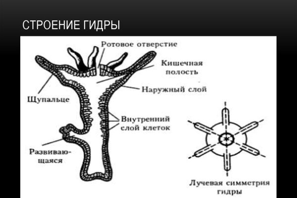 Что такое кракен маркетплейс
