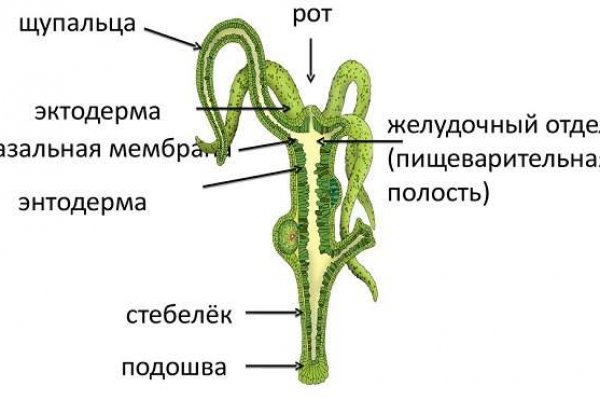 Браузер для сайта кракен
