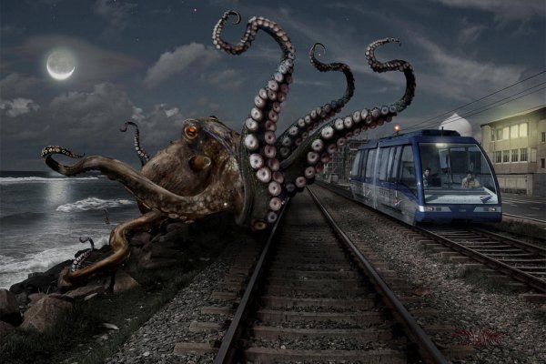 Ссылка на kraken для торта