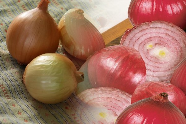 Кракен зеркало onion